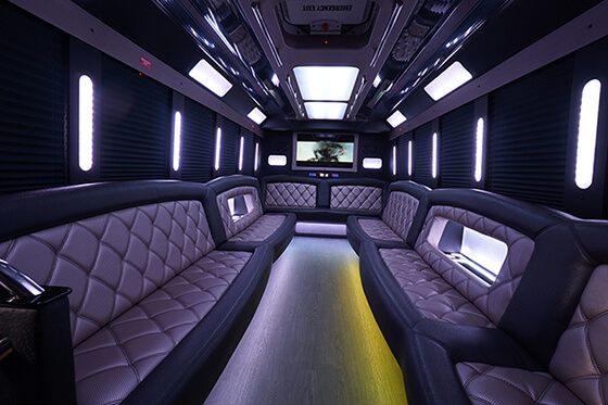 party limo bus lounge